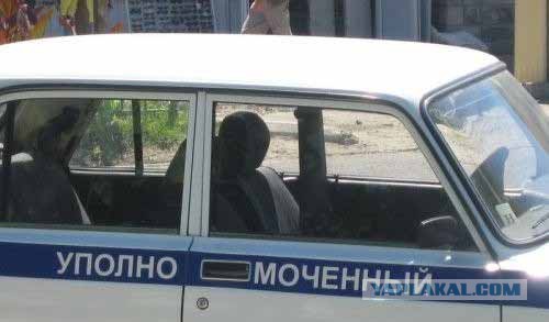 Подборка баянов.