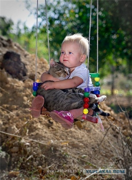 День кошек в России