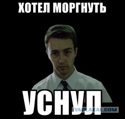 Прикольные фото и картинки