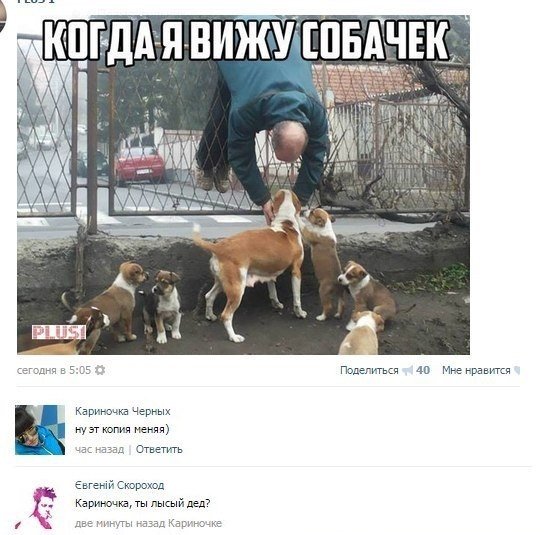 Смешные комментарии 27.09.2015