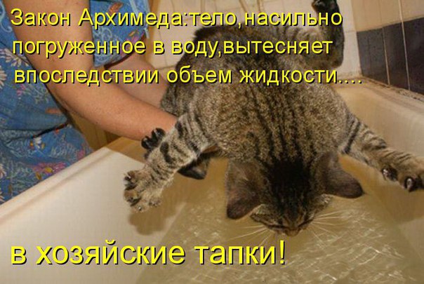 Прикольные картинки