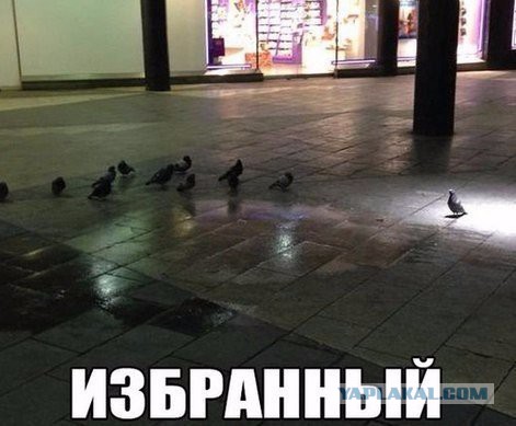 Картинки, надписи