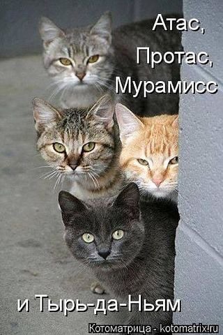 Весёлые картинки