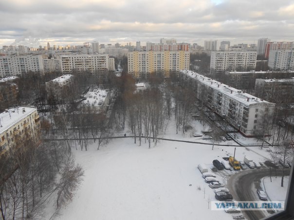 Собака должна быть на поводке! Негодования пост или как на нас опять напала собака