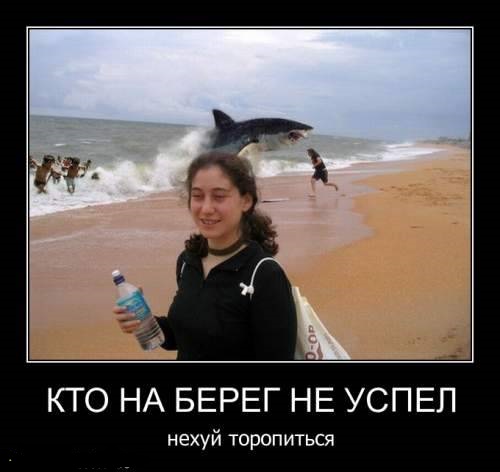 Подборка веселых демотиваторов на сегодня