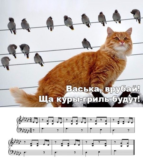 Подборка картинок