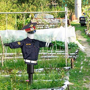 Дачные приколы