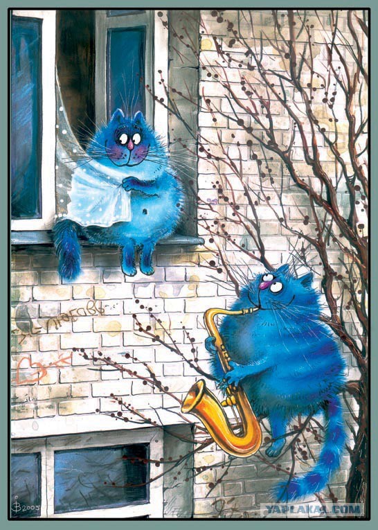 В мире синих-синих котов