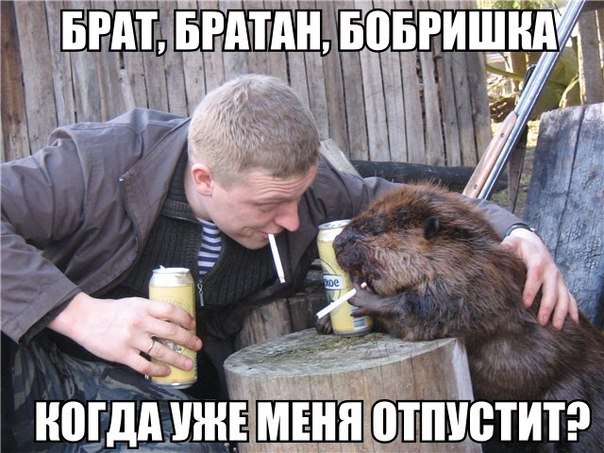 Юмор не для всех