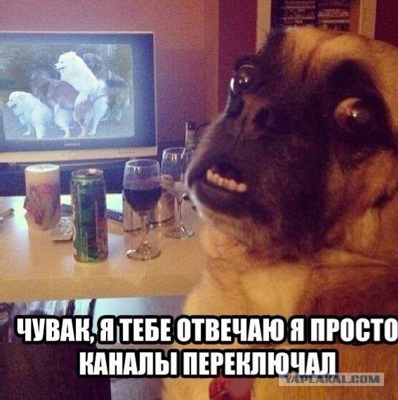 Разные картинки из сети