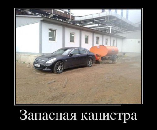 Порция картинок из сети