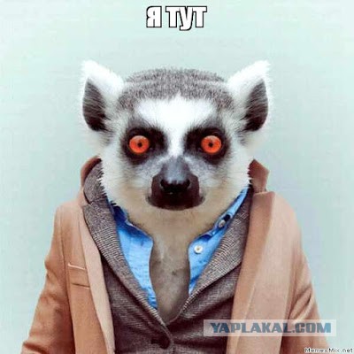 Как автоэксперт мою машину перед покупкой проверял