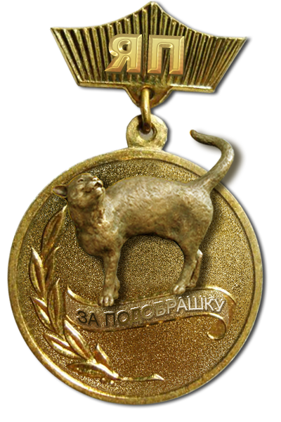 Знакомитесь! Это Жужа...