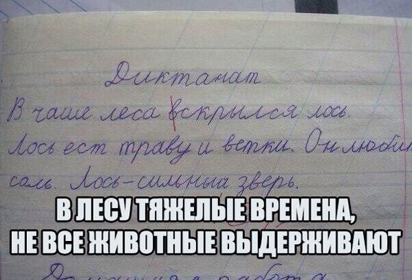 Смешные комментарии из социальных сетей 17.02.2016