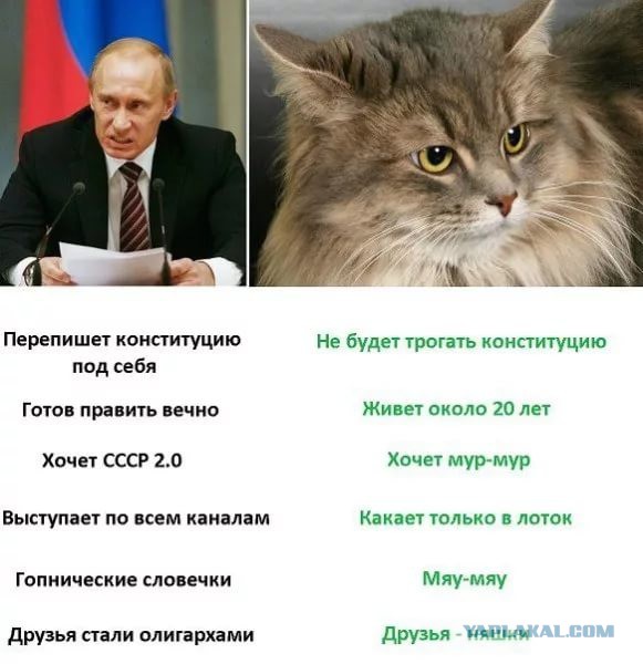 Путин рассказал, благодаря чему развивается Россия