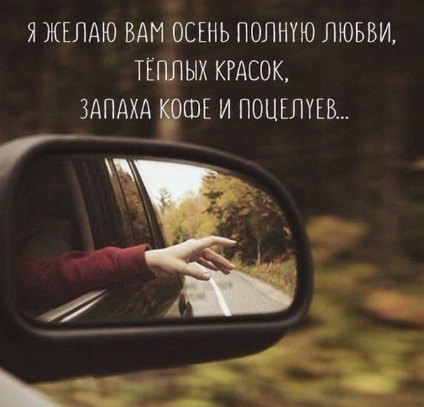 Подборка интересных и веселых картинок