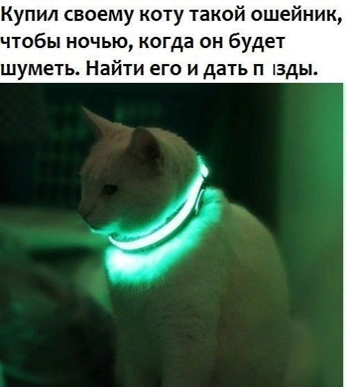Подборка интересных и веселых картинок