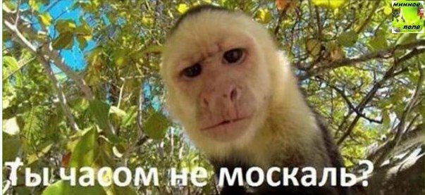 Как русских туристов встречают на Украине (10 сентября 2017)