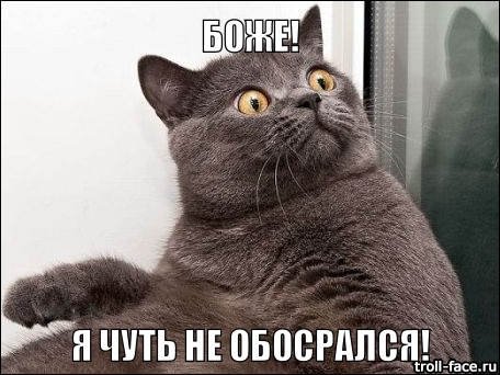 Итоги проверки пользователей