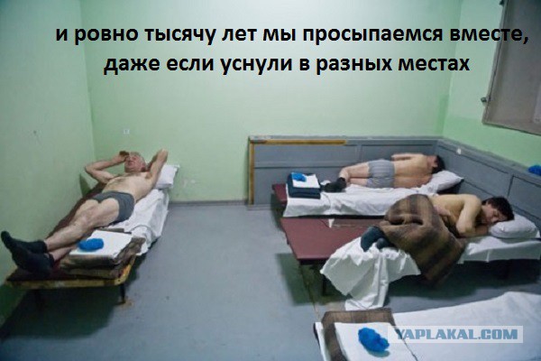 Пушной. Мое сердце (Сплин). Кавер