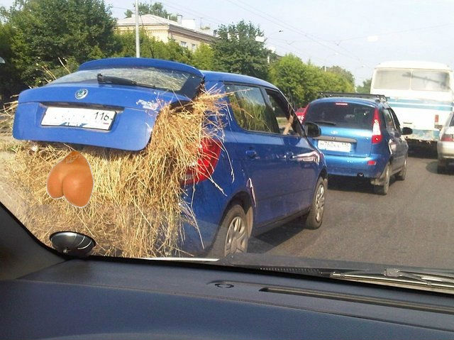 Казанские колхозники настолько суровы...