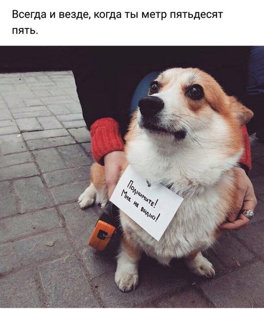 25 пятничных картинок