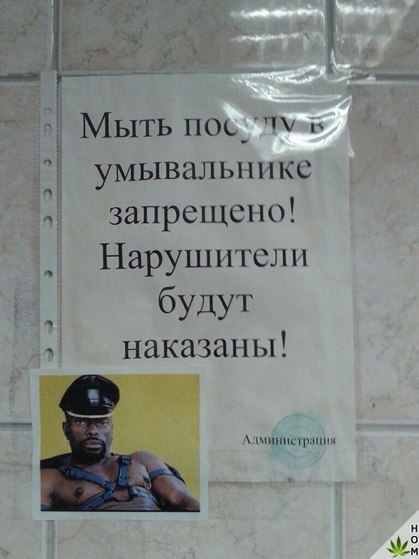 Смешные объявления, надписи и вывески