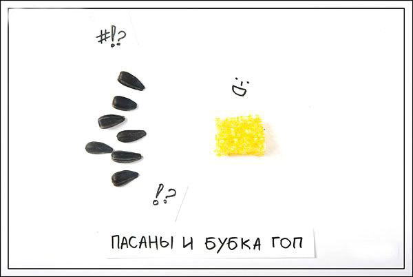 Креативные семечки (14 фото)