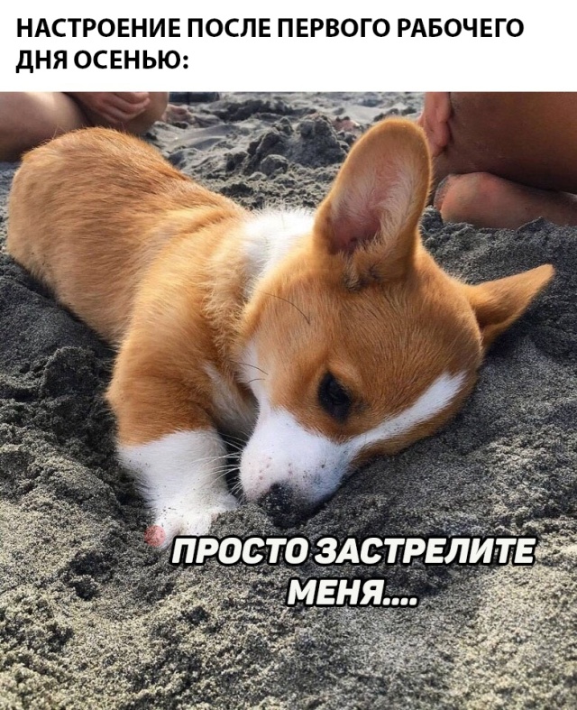 Нестандартный юмор