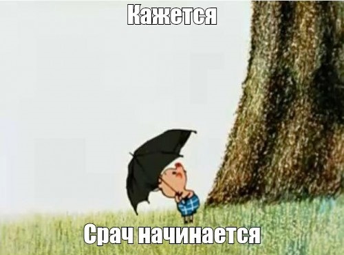 Ату его, ребята!