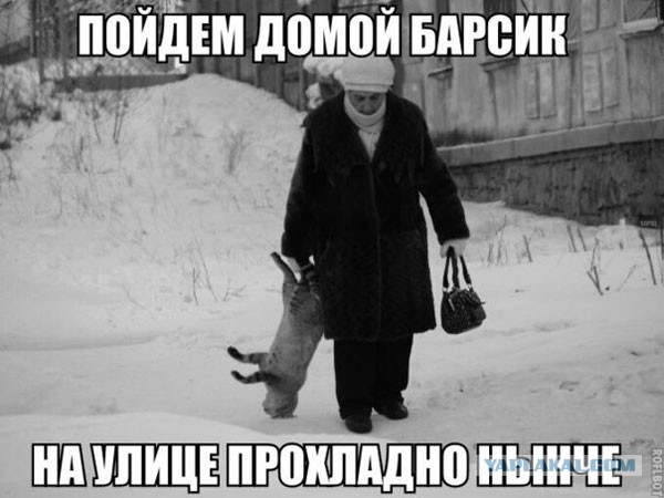 Подборка интересных и веселых картинок 08.02.19
