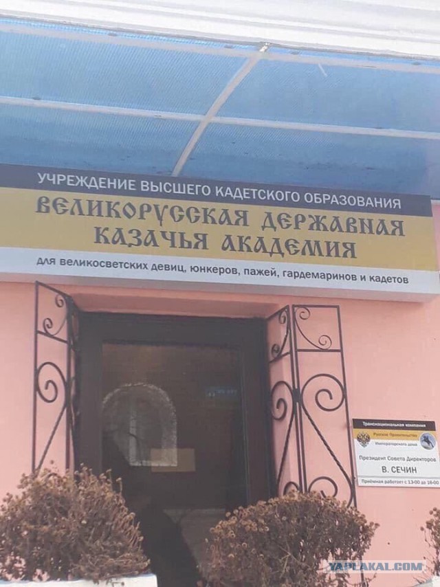 Сегодня видел казака