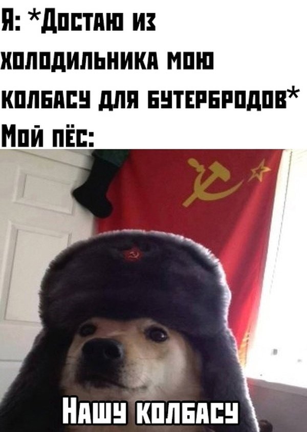 Картинки с надписями, истории и анекдоты 03.09.19.