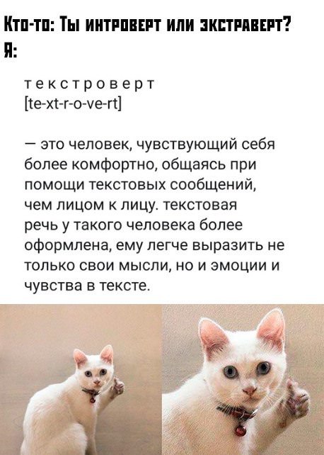 13490239.jpg