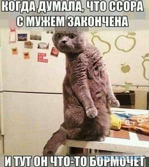 Свистим!