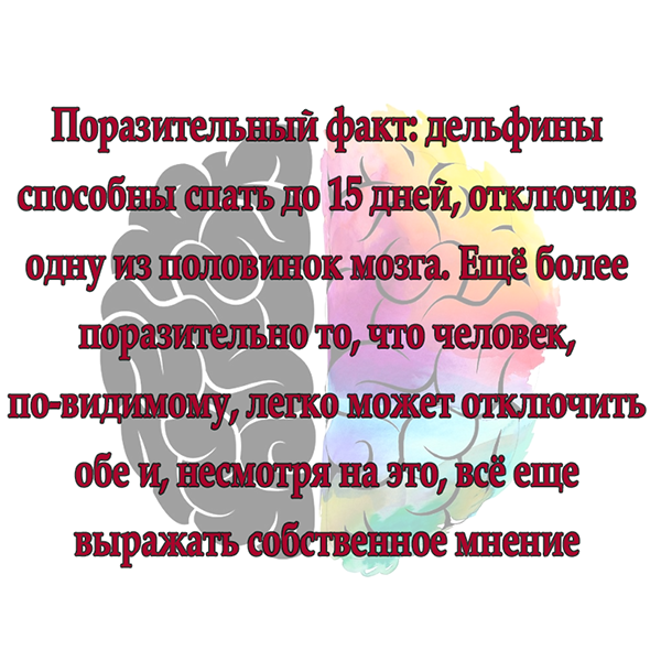 Бредзона (кулинария)