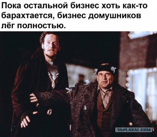 Немного картинок для настроения 05.04.20