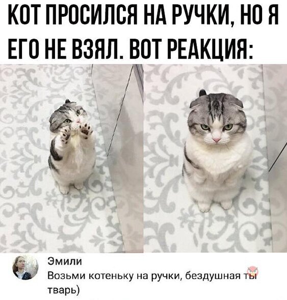 Так себе картинки 12.05.20
