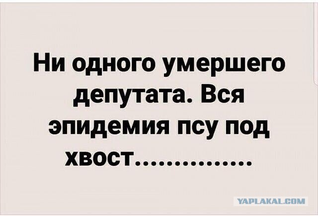 Так себе картинки 06.05.2020