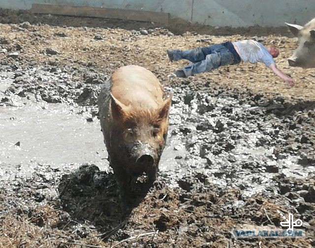 Покажем фотографию с рабочего места?