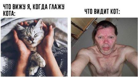 Так себе картинки 27.07.20