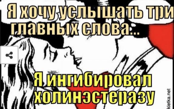 Что произошло с Навальным на самом деле