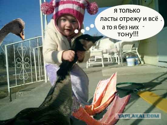 Фотожаба: Молодая добытчица