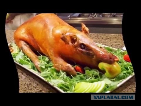 Слишком прагматичный кавалер: неудачное свидание