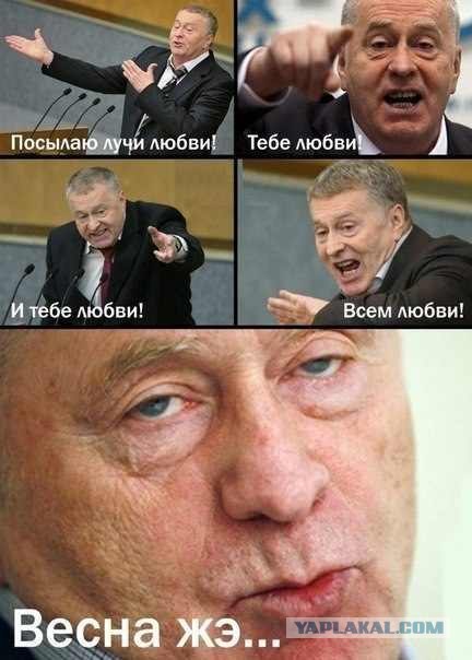 Лучшие друзья