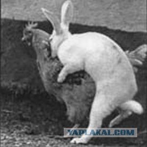 Неудачный секас