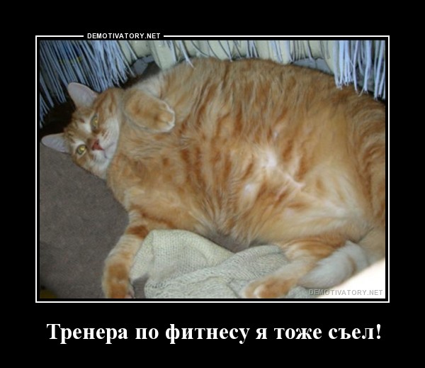 Веселые засранцы