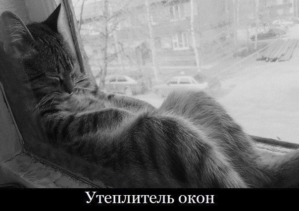 Так себе картинки 30.10.21