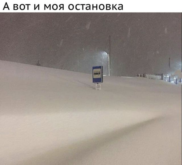 Забавные комментарии из социальных сетей (13.12.21)