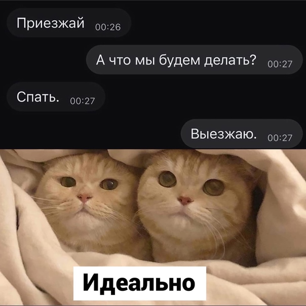 Картинки и мемы для настроения 21.12.21
